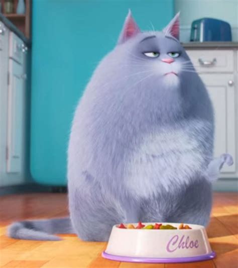 secret life of pets chloe voice|secret life of pets hawk.